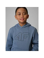 Chlapecká mikina s kapucí 4F 4FJRSS26TSWSM2748-32S dětská