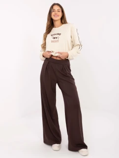 Spodnie dresowe RV DR model 21480438 ciemny brązowy - FPrice