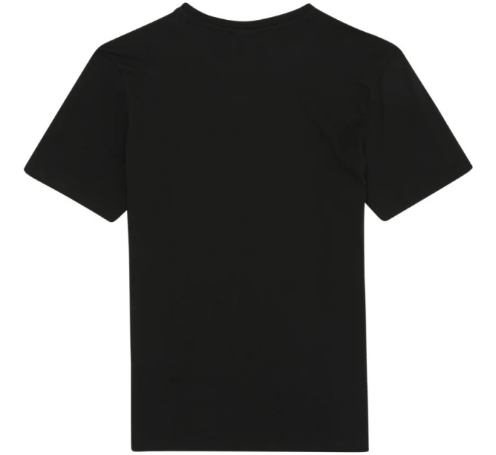 pánské tričko 2 černá, šedá pánské model 21343806 - Fila pánské tričko 2 černá, šedá pánské model 21343806 - Fila