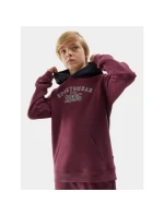 Mikina 4F Jr 4FJAW23TSWSM651-60S Mikina 4F Jr 4FJAW23TSWSM651-60S