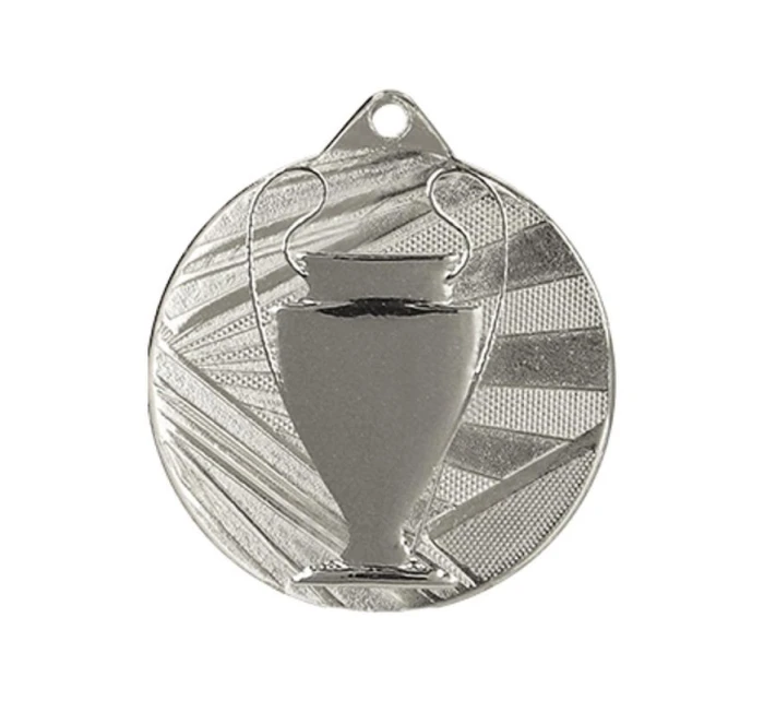 Celková stříbrná medaile s pohárem