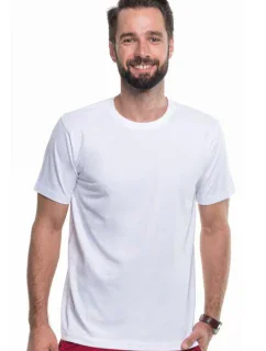 Pánské tričko  model 2605693 - PROMOSTARS