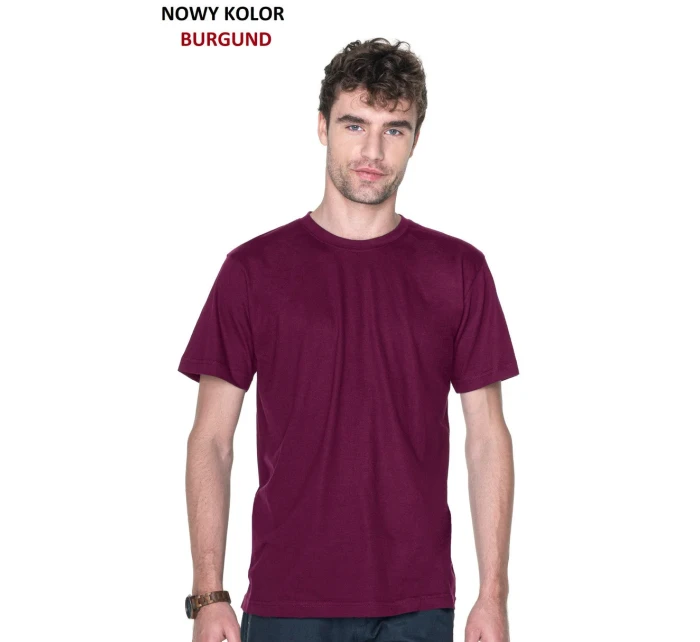 Pánské tričko Tshirt Heavy Slim  model 5889529 - PROMOSTARS