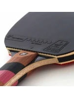 na stolní tenis Carbon model 18716678 - CORNILLEAU na stolní tenis Carbon model 18716678 - CORNILLEAU