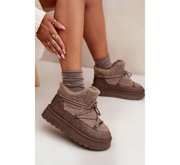 Dámské Sněhule Na Platformě S Kožíškem  Hnědé model 21705918 - Big Star Shoes