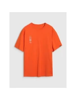 Pánské tričko oversize s potiskem model 21436916 pánské - 4F Pánské tričko oversize s potiskem model 21436916 pánské - 4F