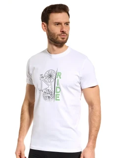 PÁNSKÉ TRIČKO TT023