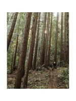 Chránič hrudníku a zad POC VPD