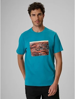 Tshirt regular z nadrukiem męski model 22551931 - 4F