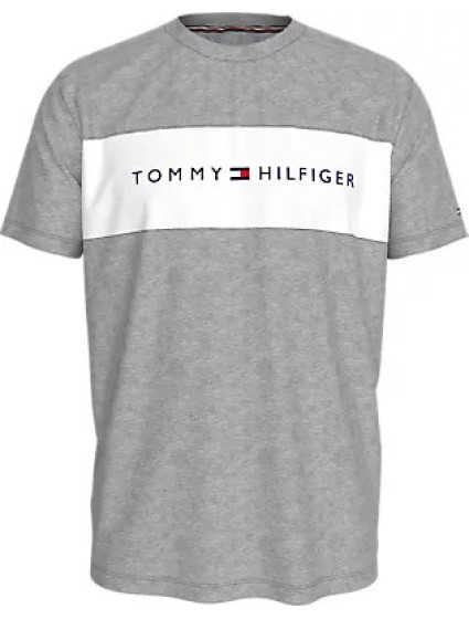 Pánská trička T-SHIRT BLOCK LOGO UM0UM03418P61 - Tommy Hilfiger