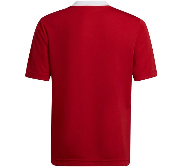 Dětské tréninkové tričko Entrada 22 Jsy Jr H57496 - Adidas