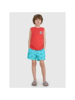 Chlapecké plážové šortky  model 21815488 - 4F