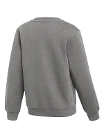 Dětská mikina Park 26 Fleece Crew šedá model 21948232 063 - NIKE