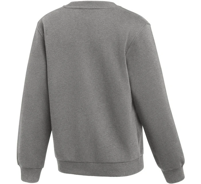 Dětská mikina Park 26 Fleece Crew šedá model 21948232 063 - NIKE