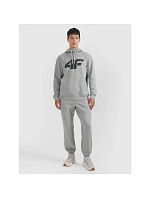 Pánské joggerové tepláky 4F 4FRMM00TTROM1625-27M