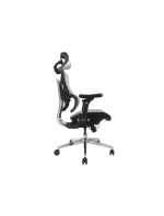 Vybavení Ergonomická kancelářská židle + opěrky hlavy / opěrky hlavy Grey Lite Retail Vybavení Ergonomická kancelářská židle + opěrky hlavy / opěrky hlavy Grey Lite Retail