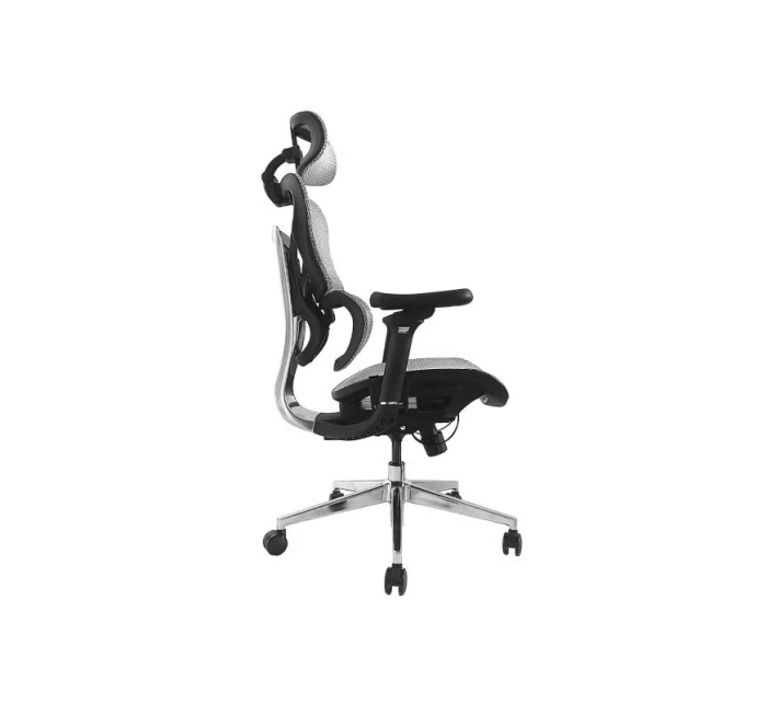 Vybavení Ergonomická kancelářská židle + opěrky hlavy / opěrky hlavy Grey Lite Retail Vybavení Ergonomická kancelářská židle + opěrky hlavy / opěrky hlavy Grey Lite Retail
