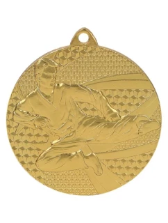 Zlatá medaile karate - ocelová medaile
