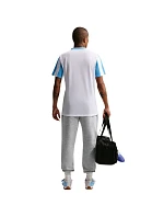 Pánské teplákové kalhoty IB1248 063 šedé - Nike