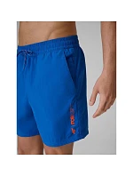 Pánské plážové šortky typu boardshorts s filtrem UPF50+ značky 4F 4FRSS26UBDSM258-36S Pánské plážové šortky typu boardshorts s filtrem UPF50+ značky 4F 4FRSS26UBDSM258-36S
