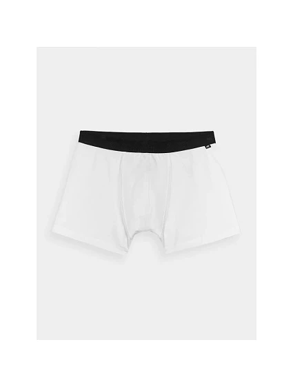 Pánské boxerky  pánské model 21432295 - 4F