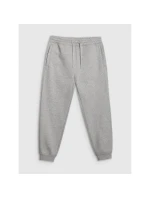 Pánské tepláky typu jogger model 21877671 - 4F Pánské tepláky typu jogger model 21877671 - 4F