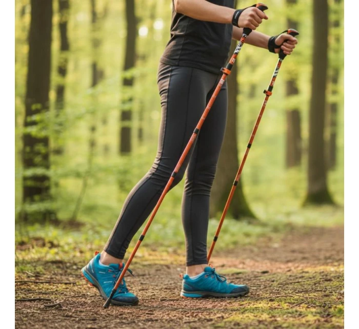 V PRO model 21826676 - Enero V PRO model 21826676 - Enero