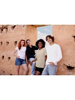 Iconic 250 SetIn Sweat Mikina model 22459235 red - Fruit of the Loom