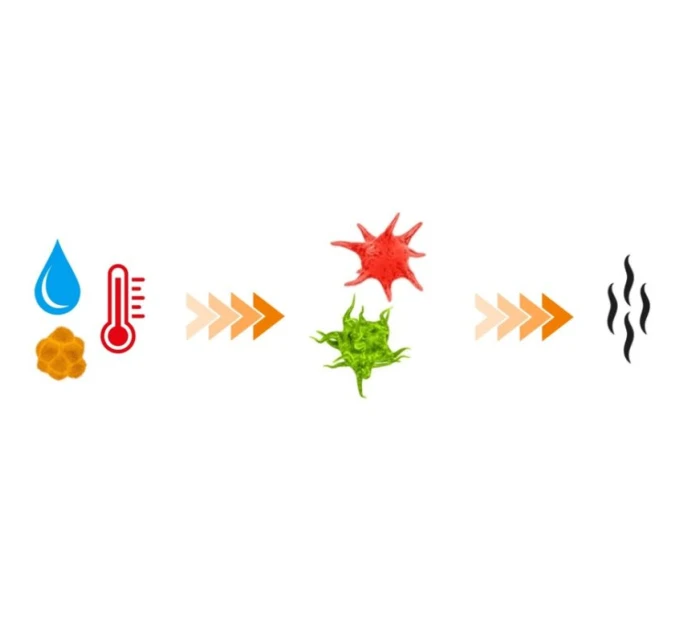 Čistič - osvěžovač sportovního vybavení | DBX Cleaner (200ml) Čistič - osvěžovač sportovního vybavení | DBX Cleaner (200ml)