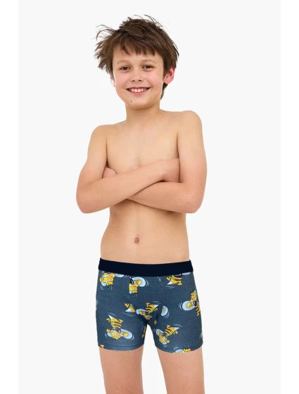 BOXERKY BOY YOUNG 700 W/26