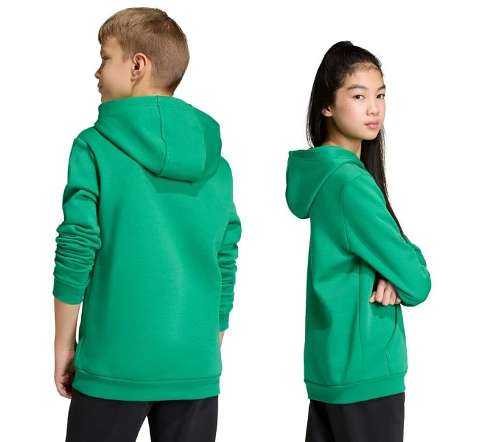Dětská mikina adidas Entrada 26 Hoody zelená JZ6563