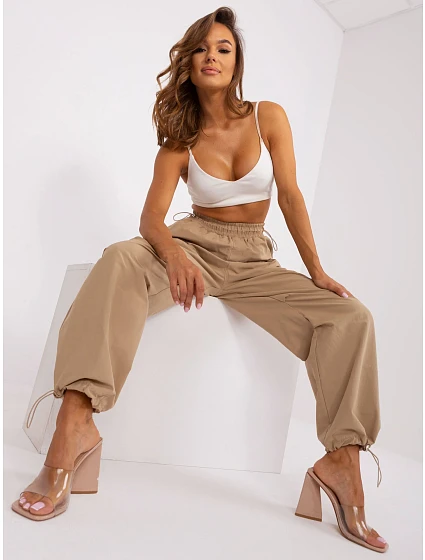 Spodnie TW SP model 20078340 ciemny bezowy - FPrice