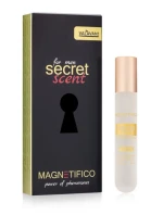 pro muže Secret   model 20849682 - Valavani