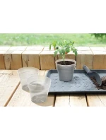 PLANTI PLANT 12CM čirý květináč