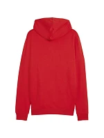 Pánské tričko Puma Team Goal Casuals Hooded M 658595 01