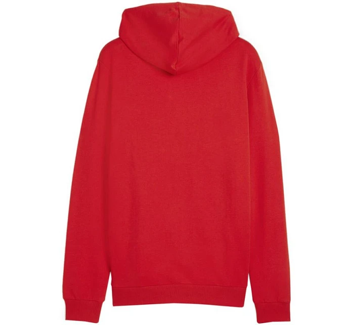 Pánské tričko Puma Team Goal Casuals Hooded M 658595 01