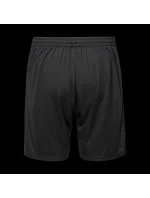 Pánské šortky HISAM