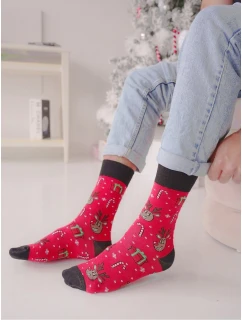 Pánské vánoční ponožky model 21441920 - Milena