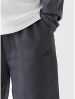 Chlapecké tepláky 4F Chlapecké tepláky 4F