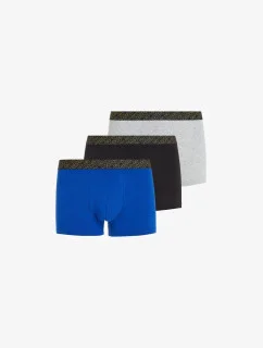 Pánské boxerky 3PACK   model 18990998 - Tommy Hilfiger