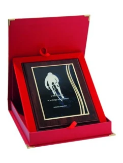 Plastový diplom s vyrytou kovovou destičkou + pouzdro