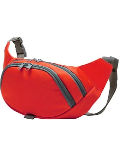 Ledvinka red model 22517864 - Halfar