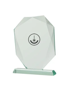 Gravírovaná skleněná trofej s pouzdrem