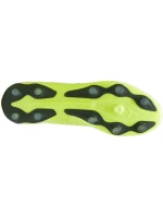 Kopačky Puma King Match FG/AG M 107570-04