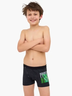 Boxerky Young Boy model 21322308 Protect 2 134164 - Cornette