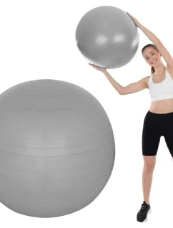 FITNESS MÍČ model 21824842