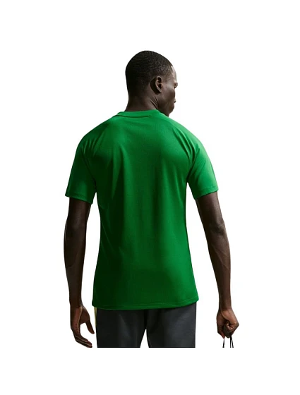 DriFit Park VIII pánské tričko zelené 302 pánské model 21910812 - NIKE
