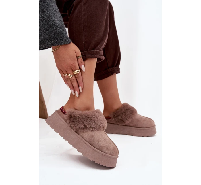 Dámské sněhule na platformě s kožešinou a výšivkou tmavě béžové Querina Dámské sněhule na platformě s kožešinou a výšivkou tmavě béžové Querina