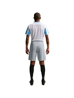 Pánské šortky Dry Park III NB K light grey model 22054307 012 - NIKE Pánské šortky Dry Park III NB K light grey model 22054307 012 - NIKE