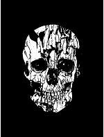 Bluza męska z nadrukiem czarna model 22103918 - FashionStreet